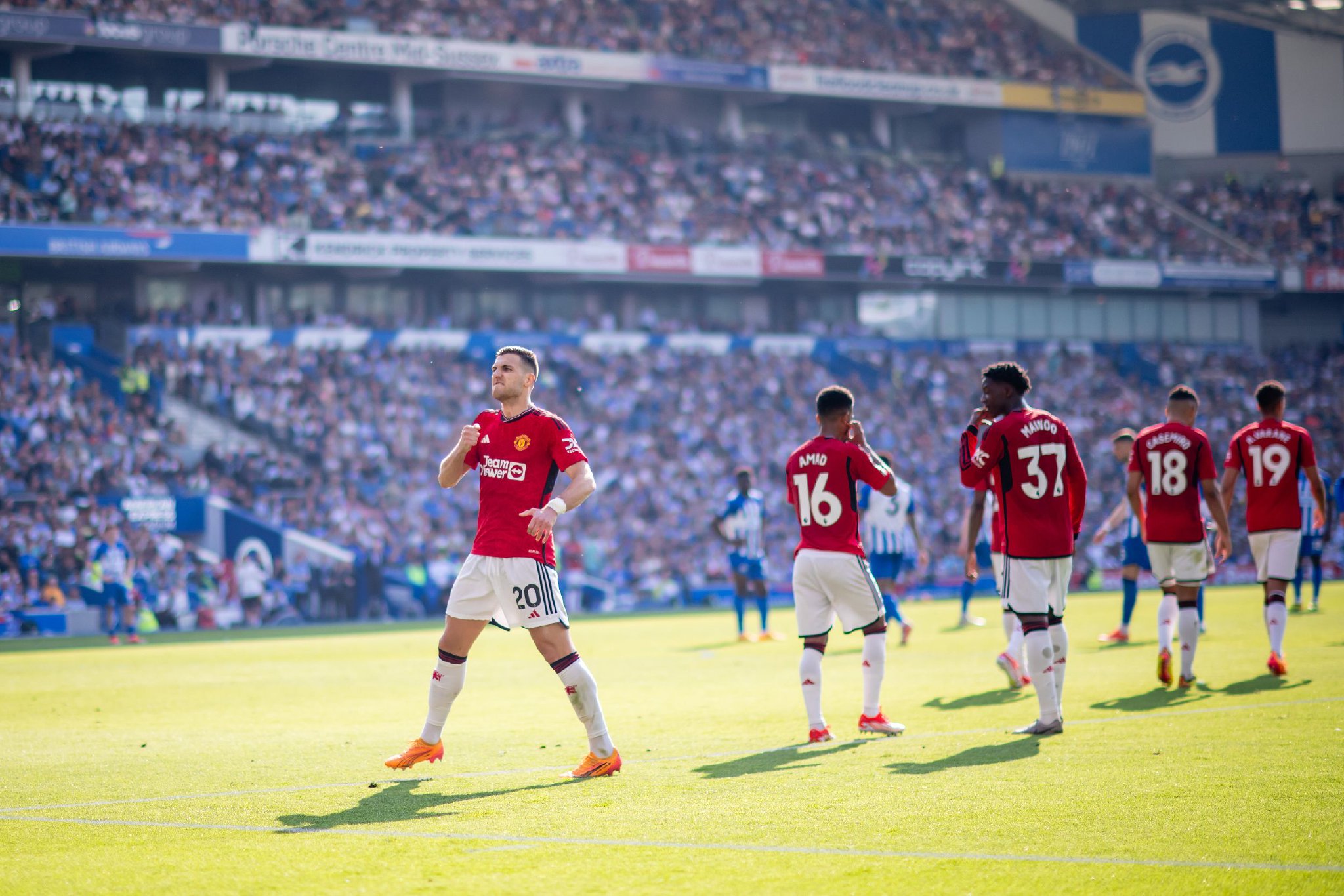 的亮点和意 的亮点和意